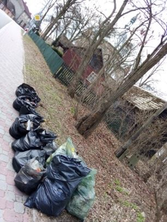Spontaniczna akcja sprzątania świata w Fałkowie [zdjęcia]