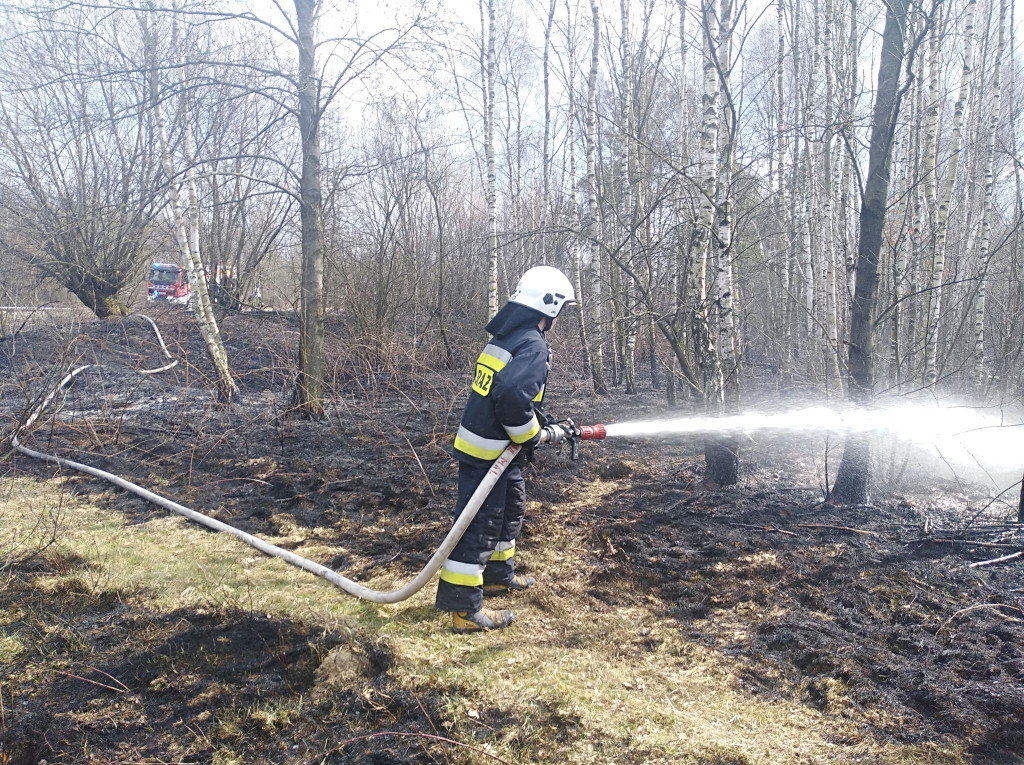 Pracowita niedziela strażaków z powiatu koneckiego [zdjęcia]