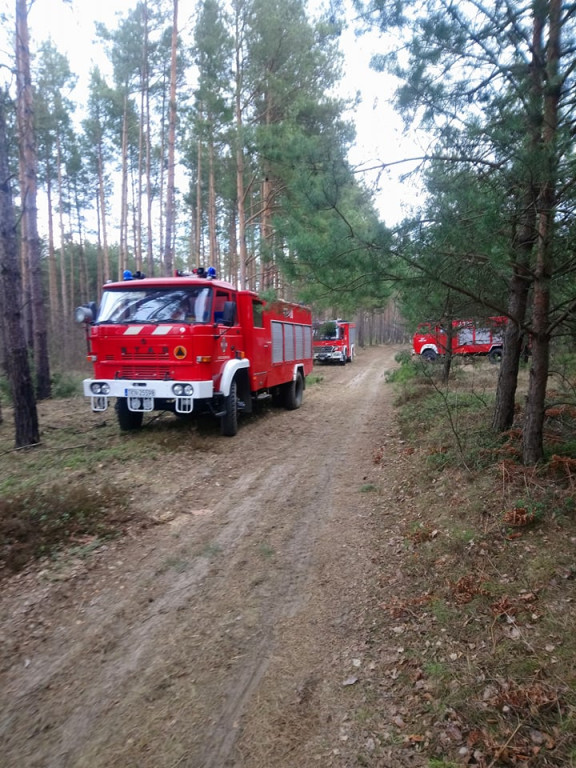 Pracowita niedziela strażaków z powiatu koneckiego [zdjęcia]