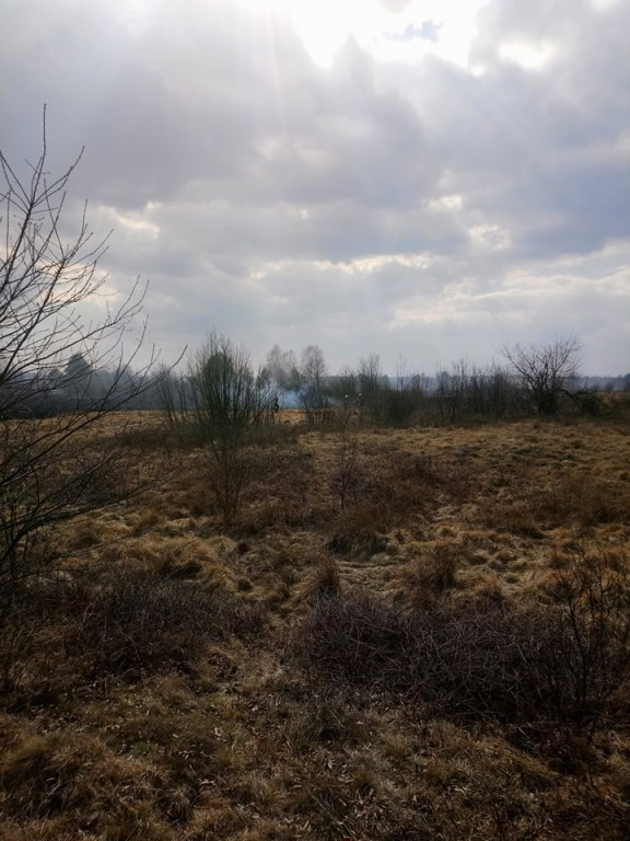 Pracowita niedziela strażaków z powiatu koneckiego [zdjęcia]