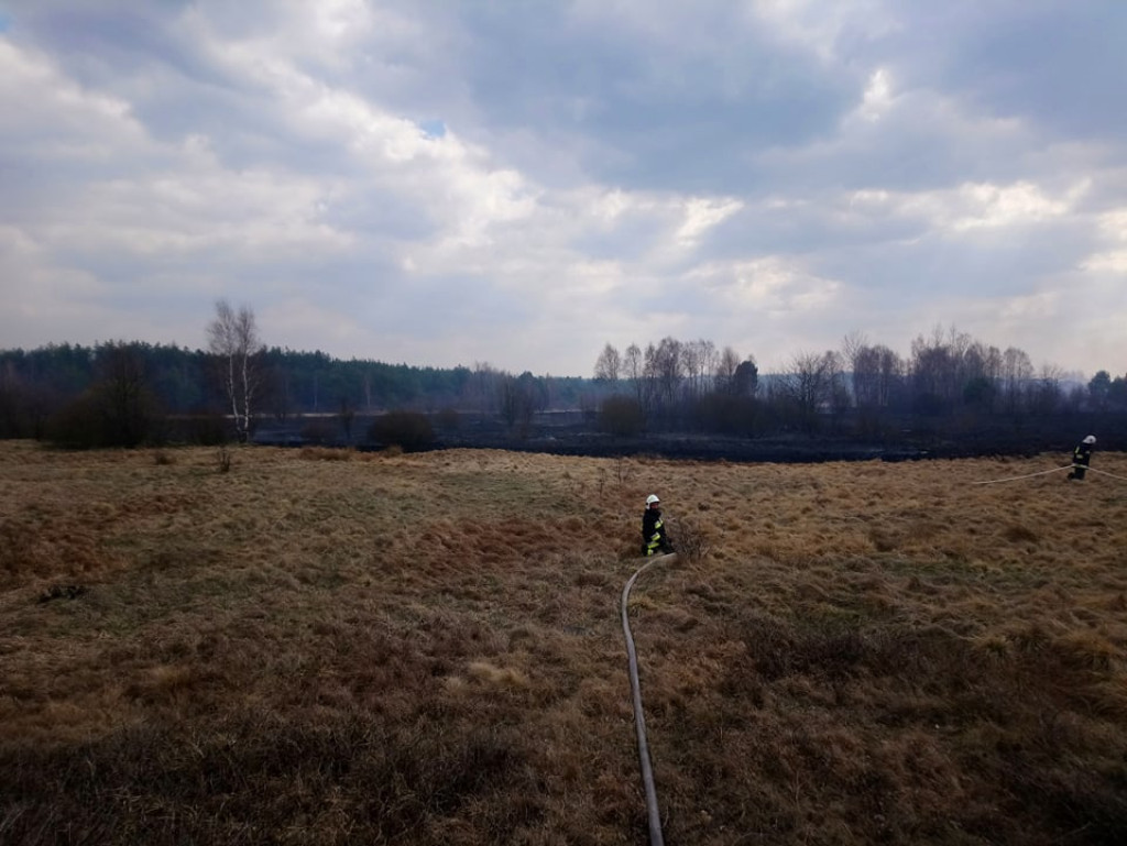 Pracowita niedziela strażaków z powiatu koneckiego [zdjęcia]
