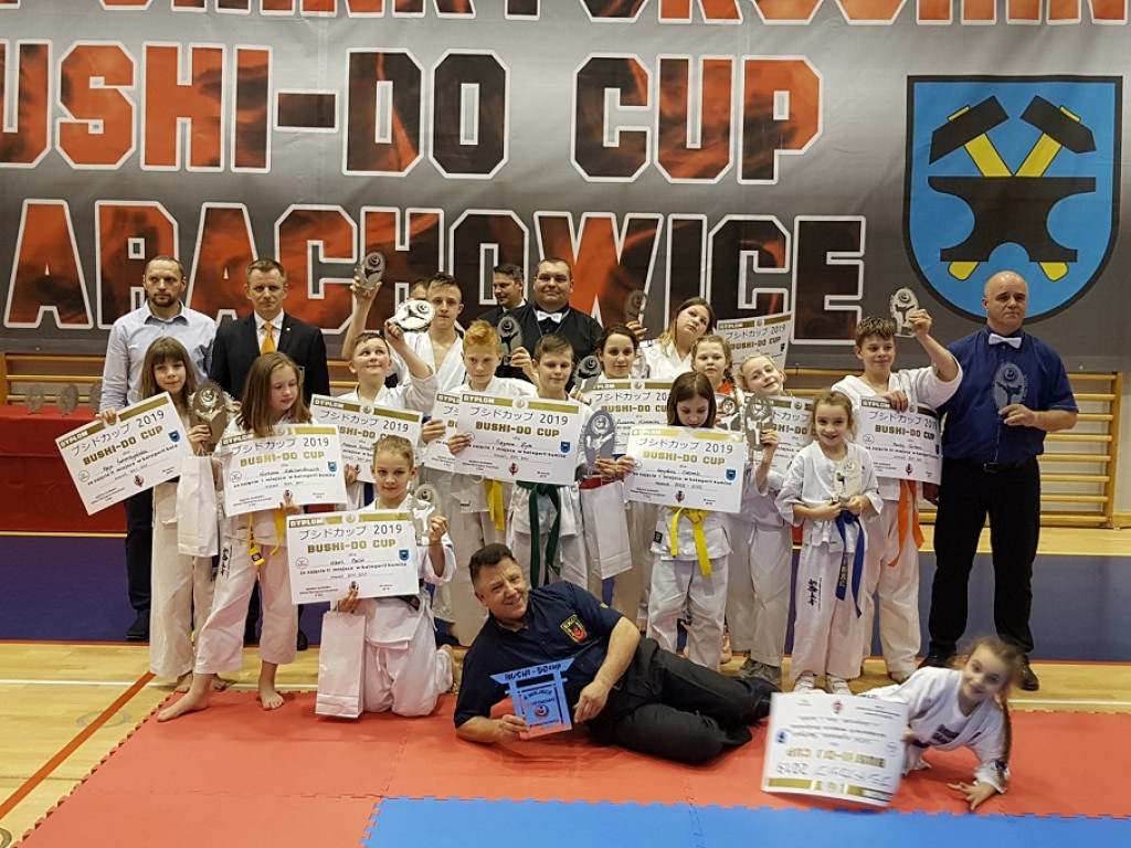Karatecy z Niekłania z medalami na Bushido Cup [zdjęcia]