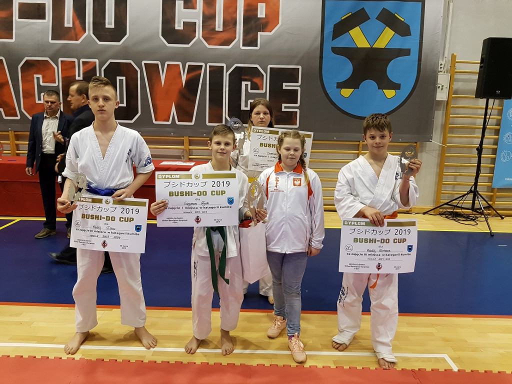 Karatecy z Niekłania z medalami na Bushido Cup [zdjęcia]