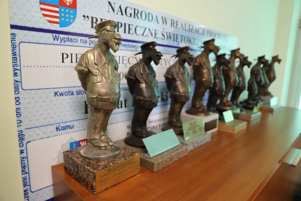 Powiat Konecki nominowany do nagrody `Koziołka` [zdjęcia]