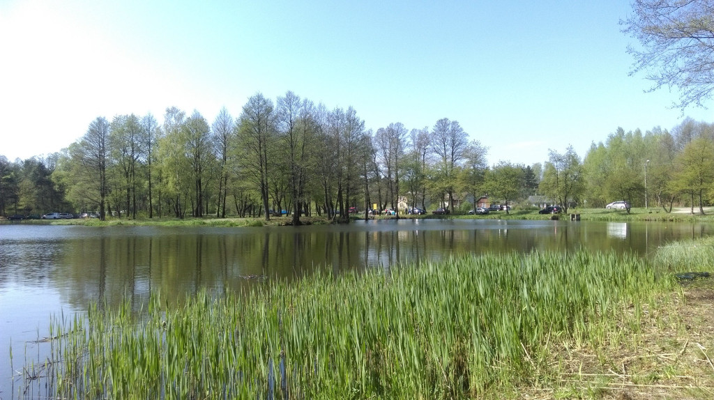 Wędkarskie rywalizacje w gminach Końskie i Stąporków [zdjęcia]