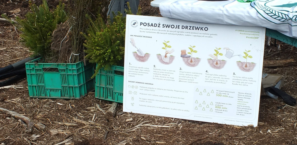 Młodzież i leśnicy wspólnie sadzili drzewa [zdjęcia]