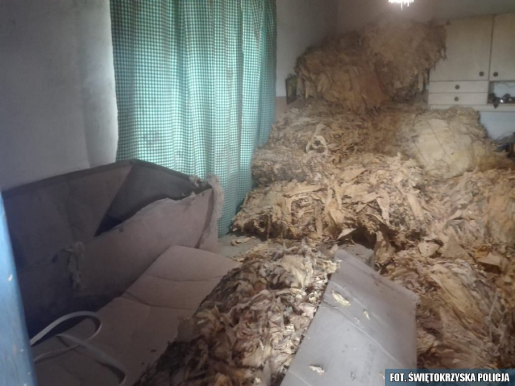 1,5 tony nielegalnej krajanki tytoniowej w rękach policji [wideo, zdjęcia]