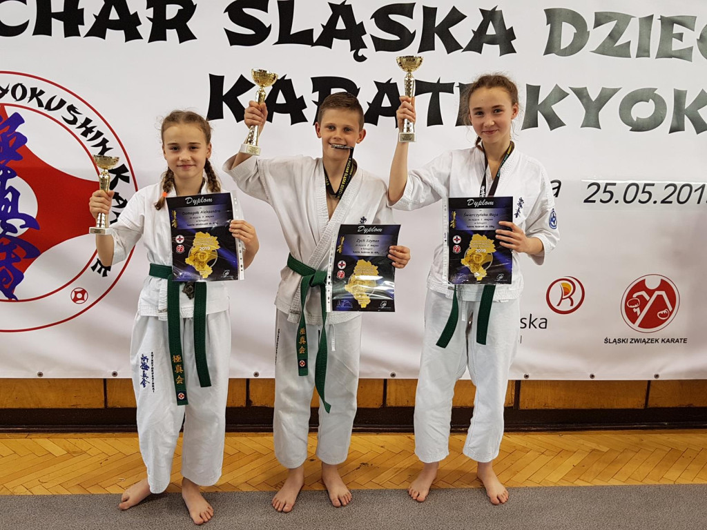 Medale z ostatnich turniejów dla sekcji karate z Niekłania Wielkiego [zdjęcia]
