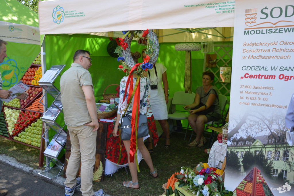 WIDEO: Rolnicze święto w ŚODR Modliszewice