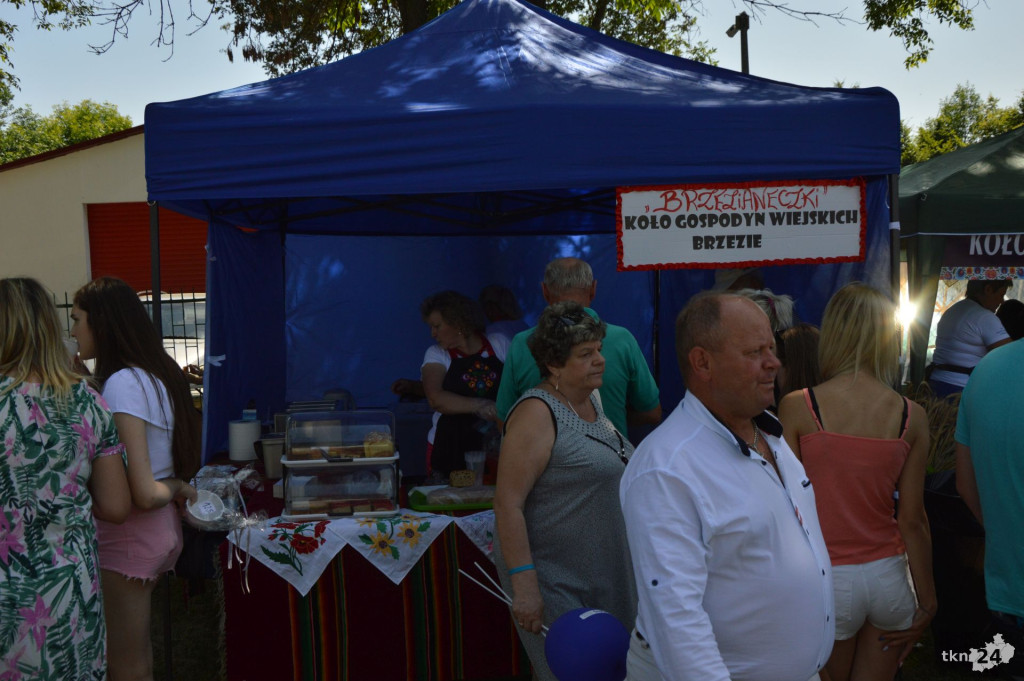 WIDEO: Rolnicze święto w ŚODR Modliszewice