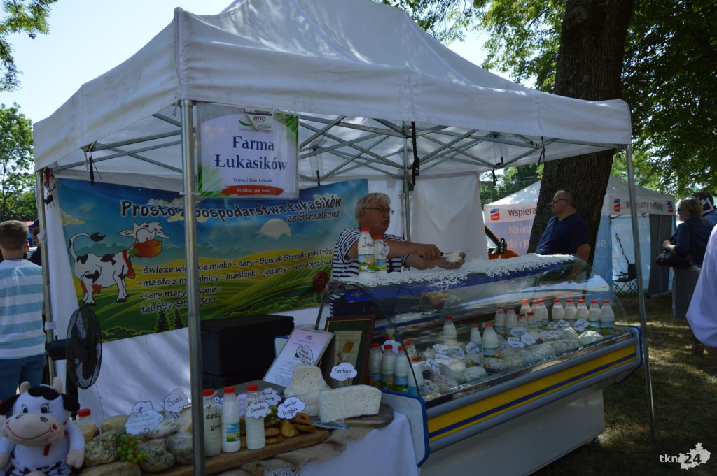 WIDEO: Rolnicze święto w ŚODR Modliszewice