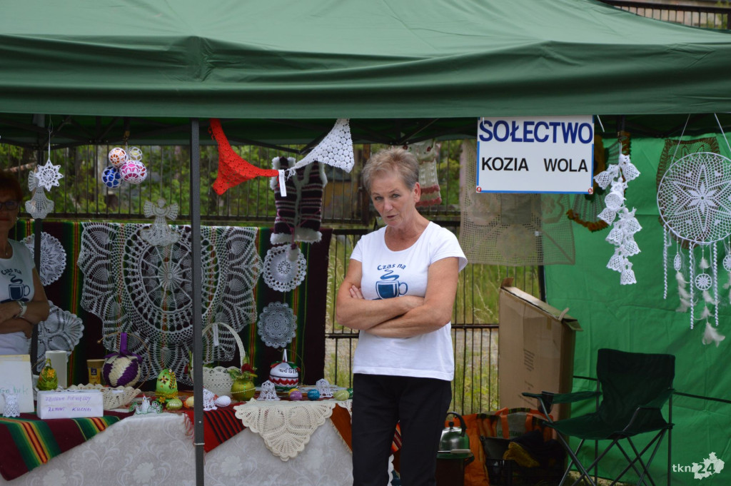 Festyn rodzinny w Pardołowie [wideo, zdjęcia]