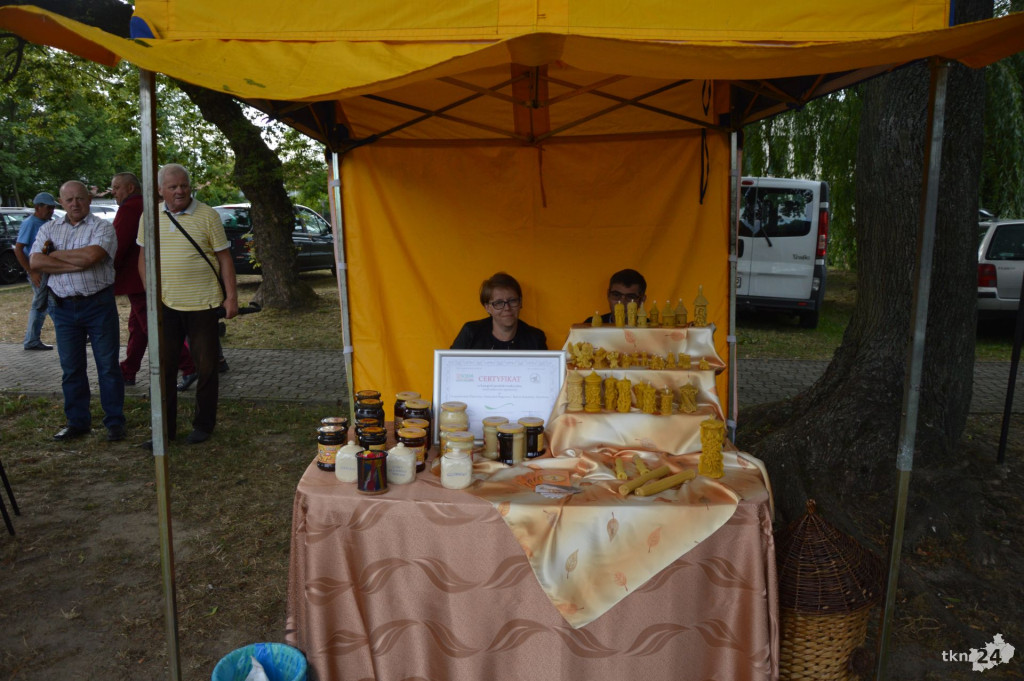 Taneczne Muzykanty 2019 w Końskich [wideo, zdjęcia]