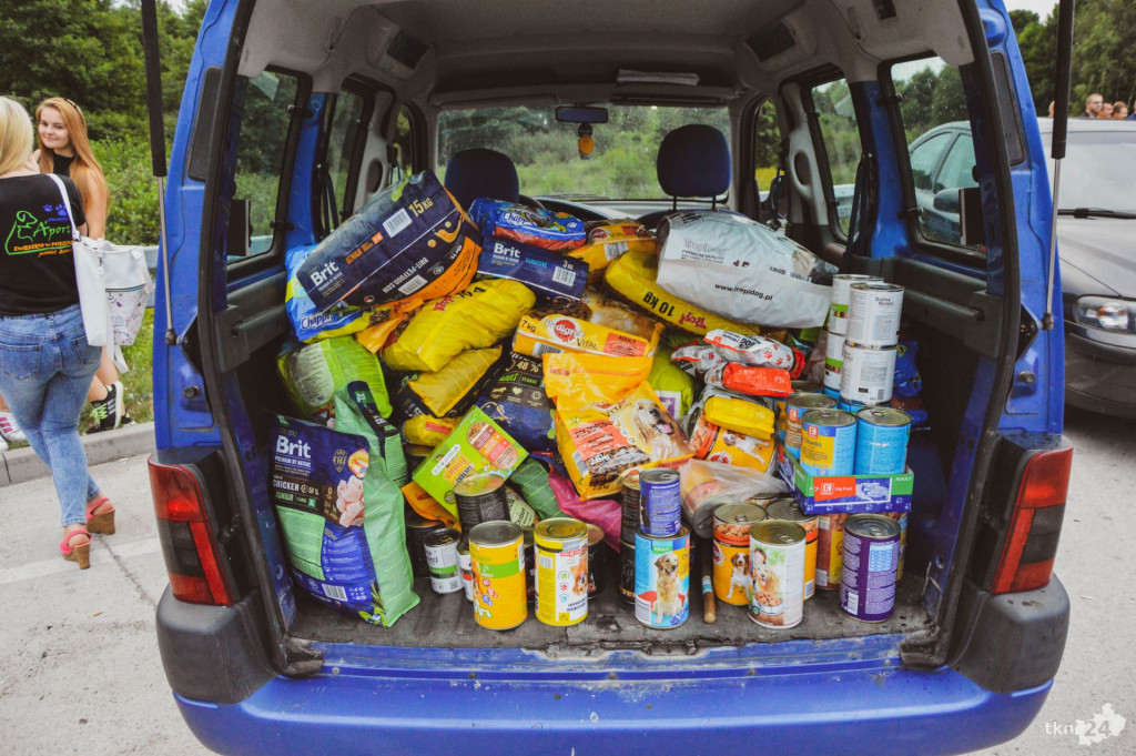 323 kilogramy karmy dla Spot for dogs! [wideo, zdjęcia]