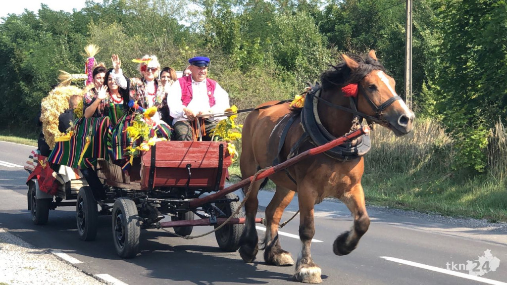 Rolnicze święto w gminie Gowarczów [zdjęcia]