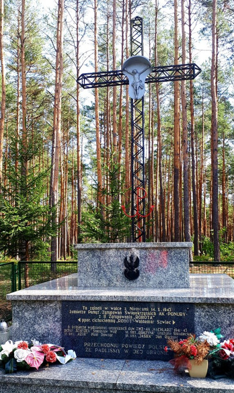 Uczniowie szkół podstawowych upamiętnili wojennych bohaterów [zdjęcia]