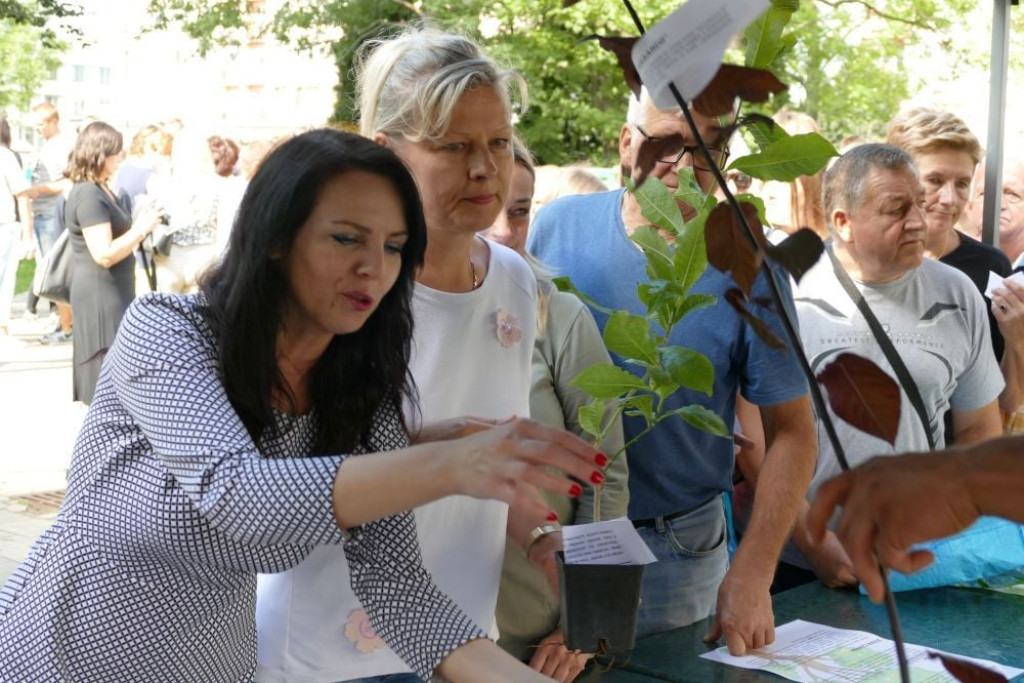 Duży sukces drugiej edycji gminnej akcji `Drzewko za surowce` [wideo, zdjęcia]
