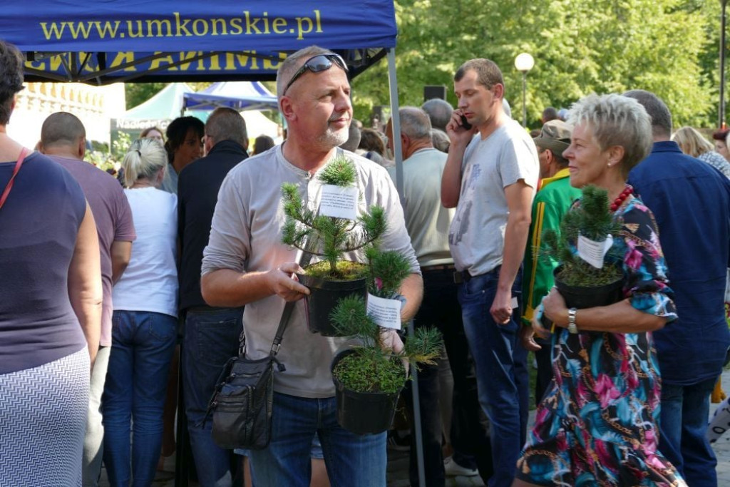 Duży sukces drugiej edycji gminnej akcji `Drzewko za surowce` [wideo, zdjęcia]