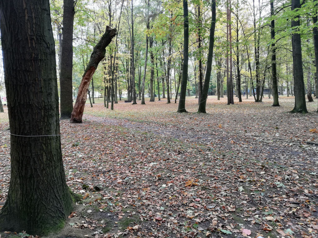 Niebezpieczne linki w koneckim parku. Policja prowadzi postępowanie [wideo, zdjęcia]