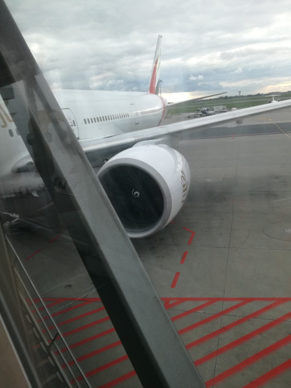 Kamil Ocetek jest już w Brisbane w Australii. Startuje w nocy z niedzieli na poniedziałek [wideo, zdjęcia]
