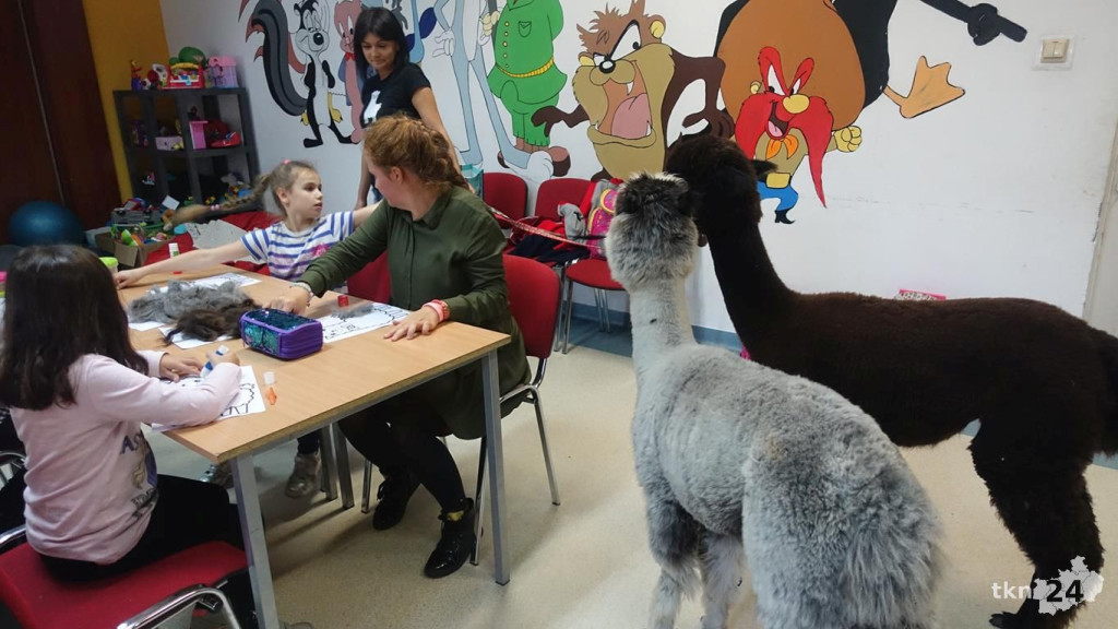Bambi i Rysiek z misją terapeutyczną w Końskich [wideo, zdjęcia]