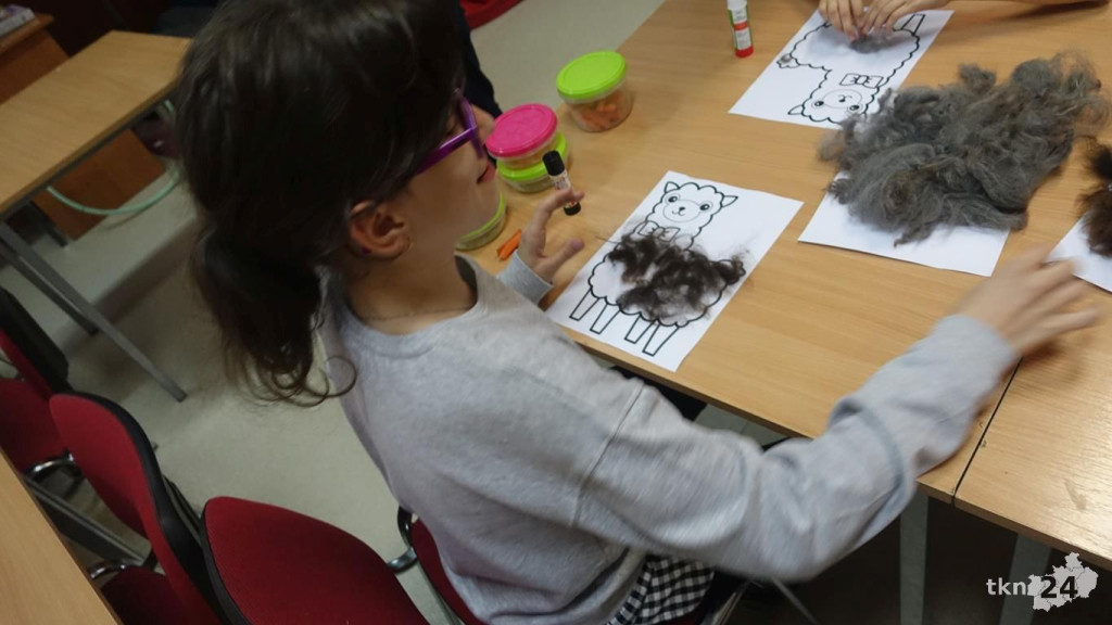 Bambi i Rysiek z misją terapeutyczną w Końskich [wideo, zdjęcia]