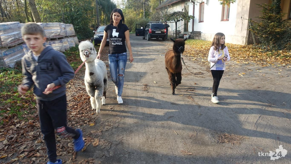 Bambi i Rysiek z misją terapeutyczną w Końskich [wideo, zdjęcia]