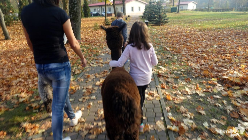 Bambi i Rysiek z misją terapeutyczną w Końskich [wideo, zdjęcia]
