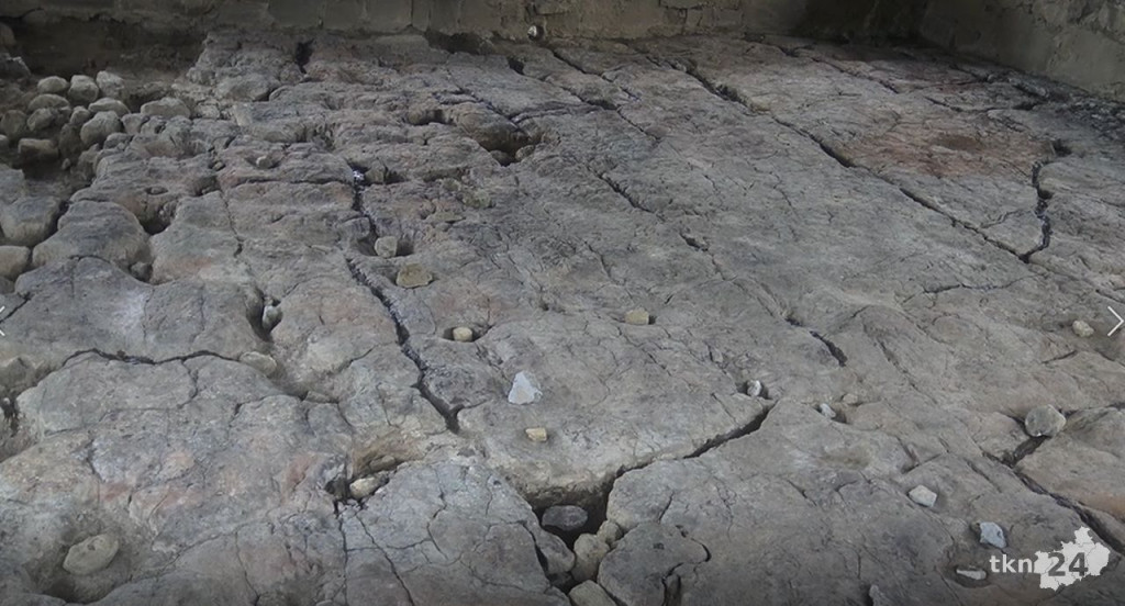 Ślady dinozaurów w Gagatach Sołtykowskich. Wiemy o nich więcej [wideo, zdjęcia]