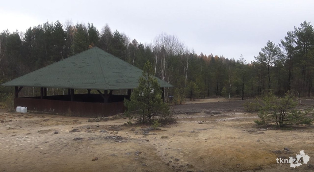 Ślady dinozaurów w Gagatach Sołtykowskich. Wiemy o nich więcej [wideo, zdjęcia]