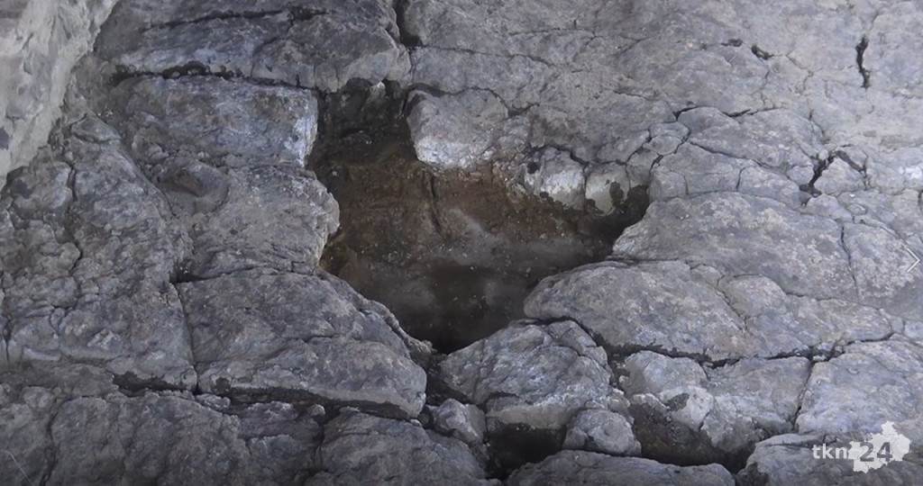 Ślady dinozaurów w Gagatach Sołtykowskich. Wiemy o nich więcej [wideo, zdjęcia]