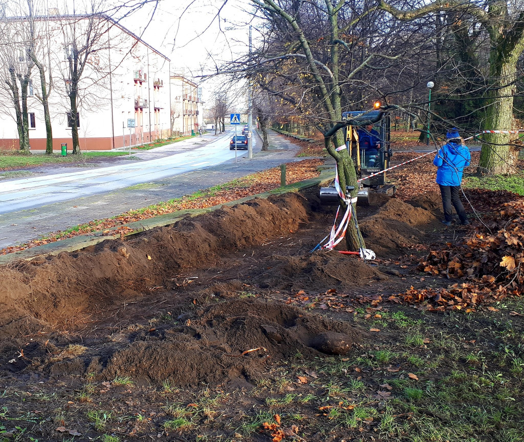 Poszukują grobów zamordowanych w koneckim UB [zdjęcia]