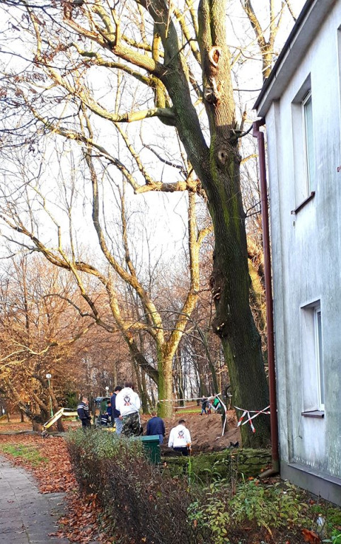 Poszukują grobów zamordowanych w koneckim UB [zdjęcia]