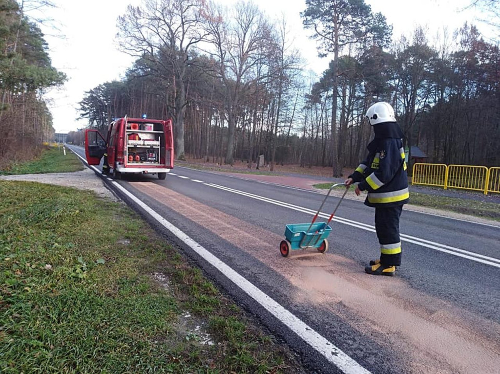Interwencja strażaków do gigantycznej plamy oleju [zdjęcia]