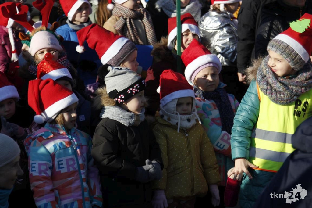 Choinka w Końskich już mieni się światłami! [fotorelacja]
