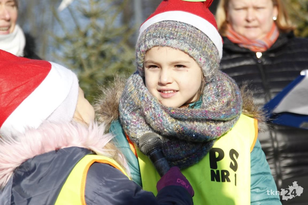 Choinka w Końskich już mieni się światłami! [fotorelacja]