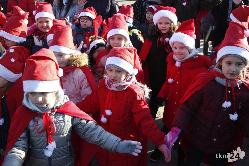 Choinka w Końskich już mieni się światłami! [fotorelacja]