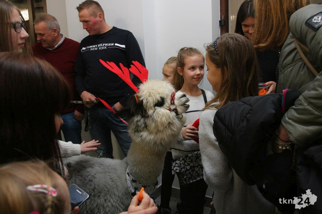 Lawina pomocy dla Michała. Kiermasz i moc atrakcji w Astorii [wideo, zdjęcia]
