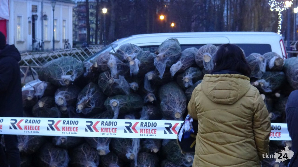 Rozdawali choinki mieszkańcom Końskich [wideo, zdjęcia]