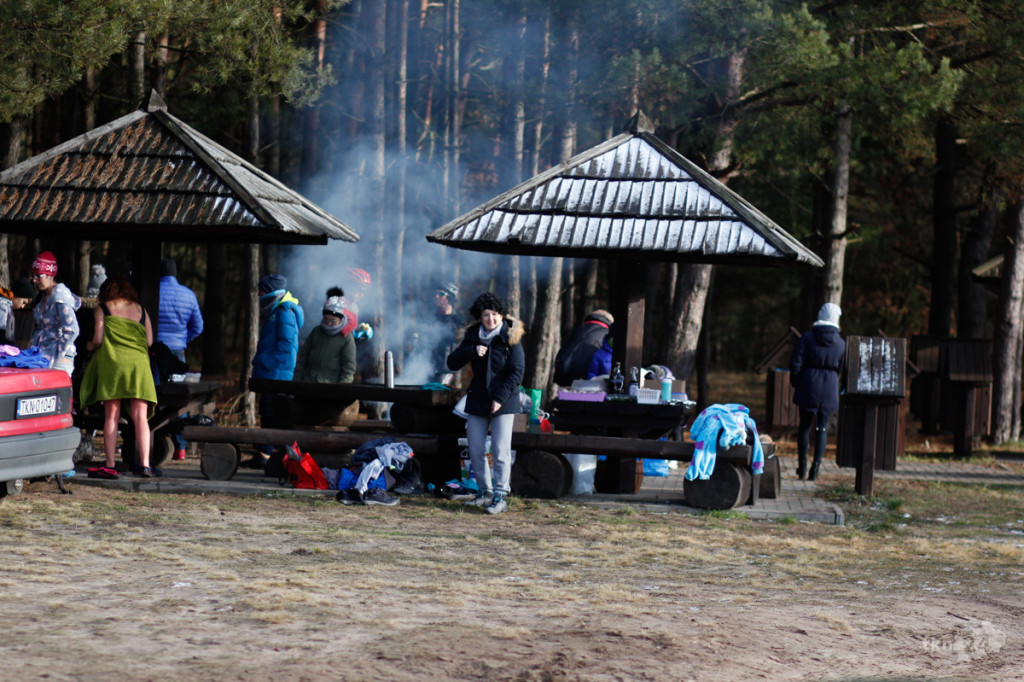 Morsy z regionu przywitały Nowy Rok [fotogaleria]