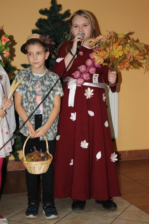 Niedziela  z WOŚP w gminie Smyków. Fotorelacja