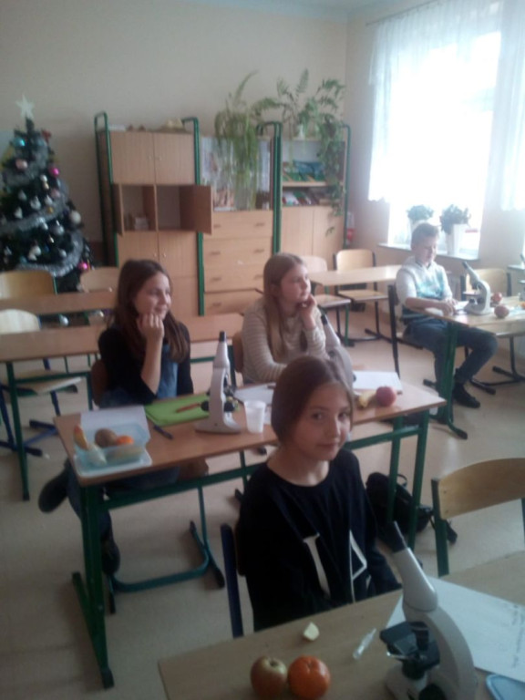 Ferie zimowe w Szkole Podstawowej w Królewcu [zdjęcia]