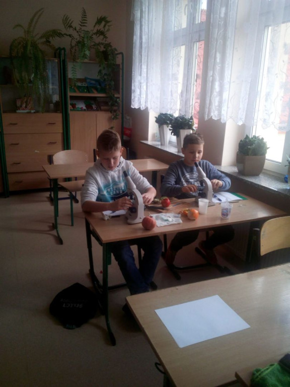 Ferie zimowe w Szkole Podstawowej w Królewcu [zdjęcia]