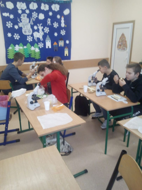 Ferie zimowe w Szkole Podstawowej w Królewcu [zdjęcia]