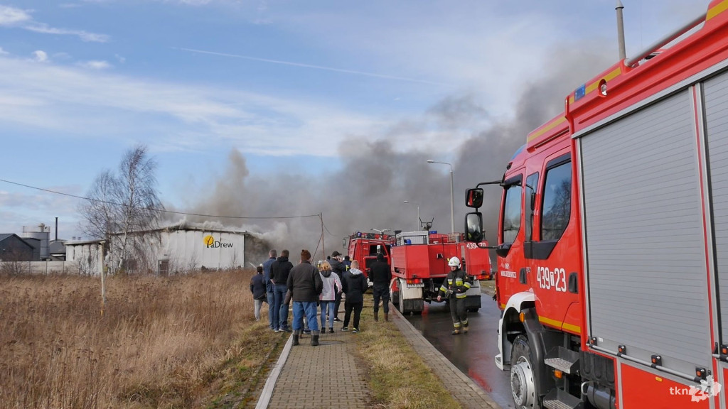 Pożar hali w Kornicy. Znana jest wstępna przyczyna? [WIDEO, zdjęcia]