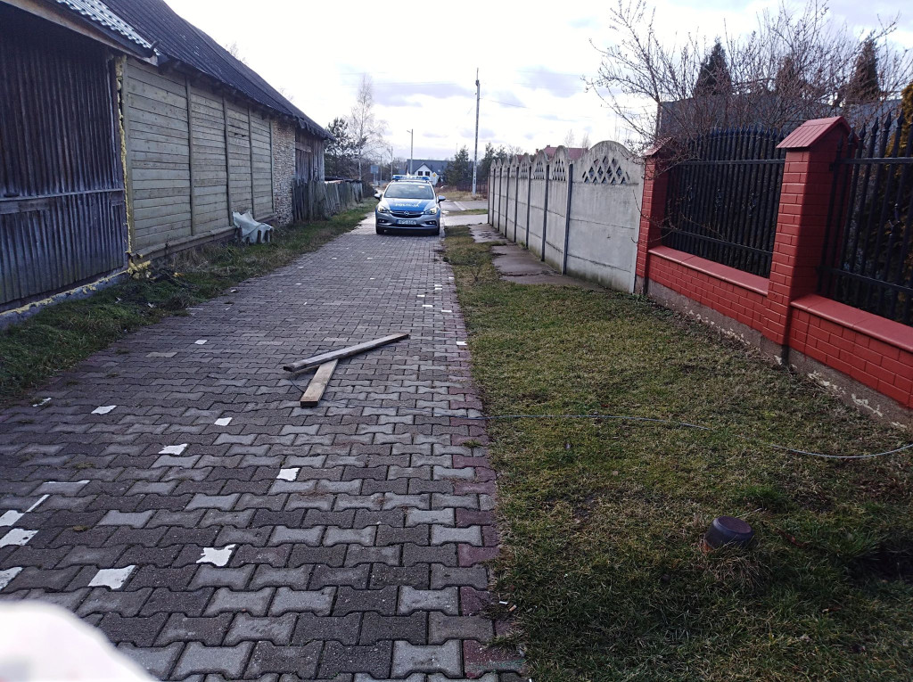 Powalone konary, zerwane linie. Obraz po wichurze w powiecie [zdjęcia]