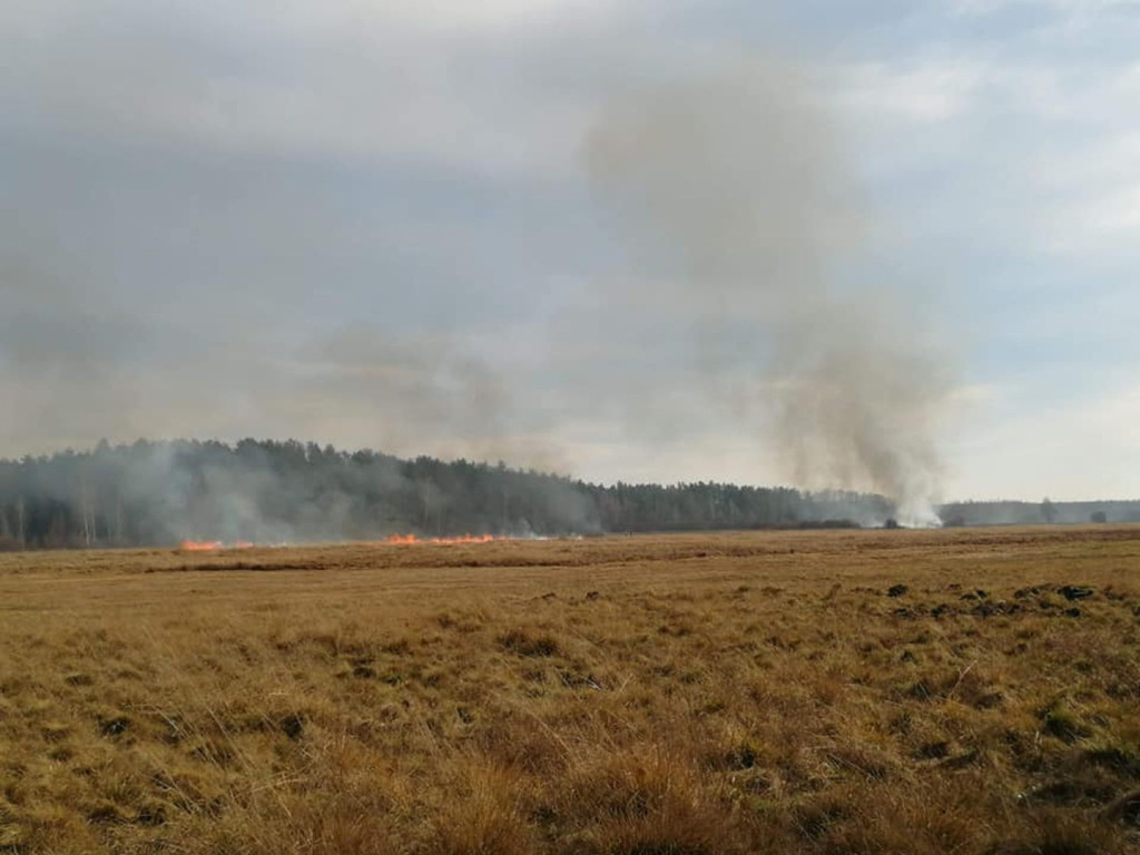 Pierwszy pożar traw w nowym roku. Akcja w Słupi Koneckiej [zdjęcia]