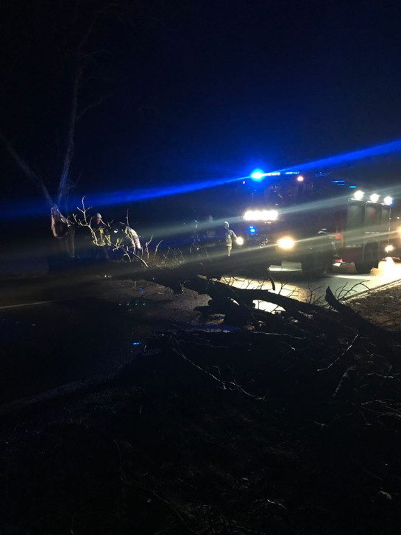 Ogrom strat po wichurze w powiecie. Zobacz wideo i zdjęcia. Aktualizacja