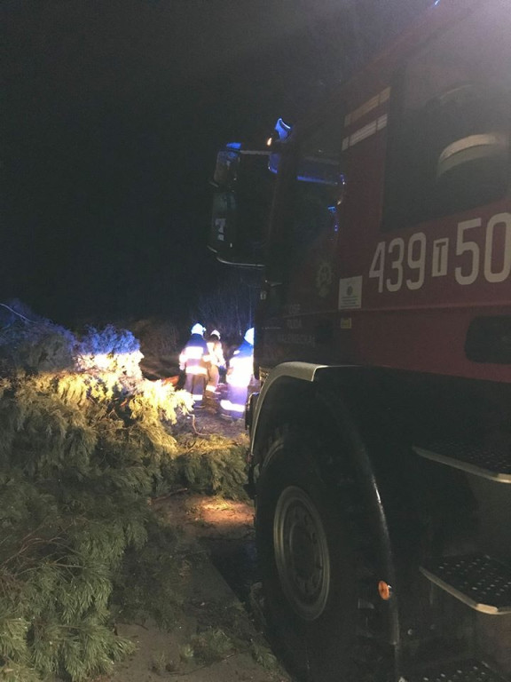 Ogrom strat po wichurze w powiecie. Zobacz wideo i zdjęcia. Aktualizacja