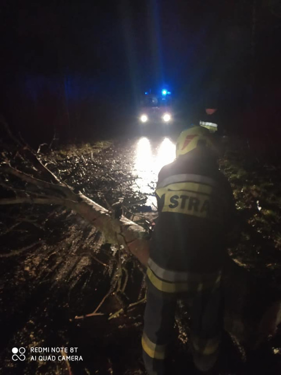 Ogrom strat po wichurze w powiecie. Zobacz wideo i zdjęcia. Aktualizacja